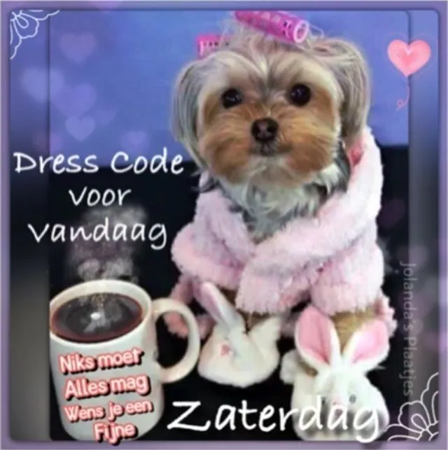 ᐅ goedemorgen zaterdag humor - Zaterdag plaatjes ᐅ goedemorgen zaterdag humor - Zaterdag plaatjes