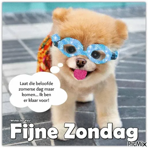 ᐅ goedemorgen zondag - Zondag plaatjes Schattige puppy met zonnebril en vrolijke tekst over zondag.