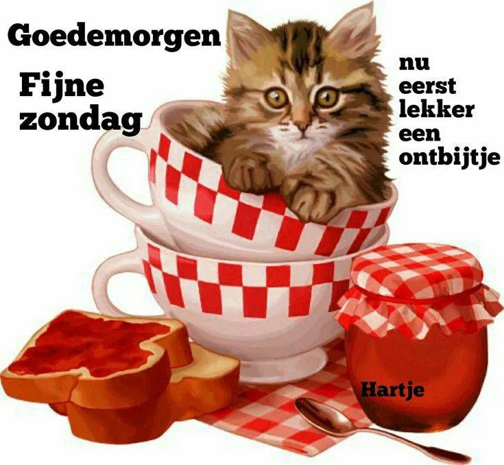 ᐅ goedemorgen zondag - Zondag plaatjes Een kitten in kopjes naast toast en een pot jam, met de tekst "Goede morgen."