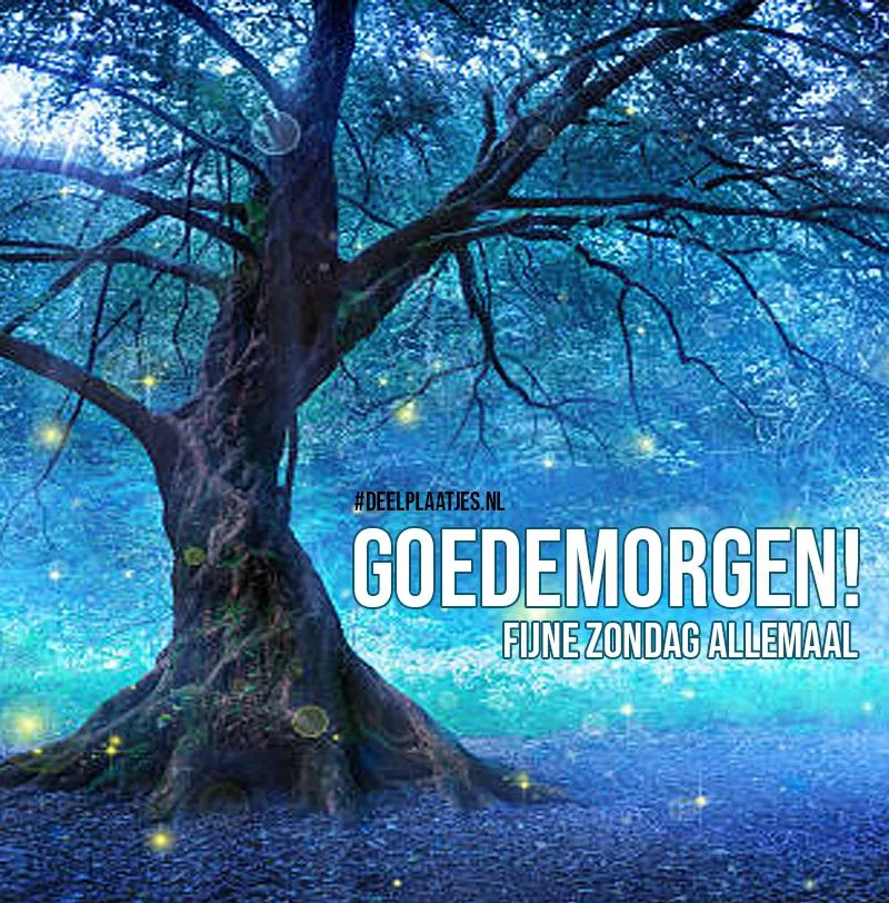 ᐅ goedemorgen zondag - Zondag plaatjes Een grote boom in een mistig bos met de tekst 'Goedemorgen! Fijne zondag allemaal'.