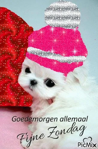 ᐅ goedemorgen zondag - Zondag plaatjes Een schattige puppy met een glinsterende muts op een kleurrijke achtergrond.