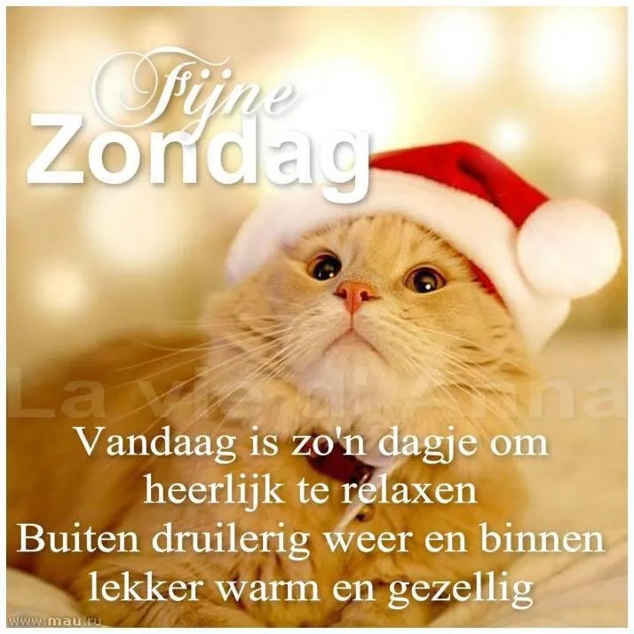 ᐅ goedemorgen zondag - Zondag plaatjes Kat met kerstman-hoed, tekst "Fijne Zondag" en uitnodiging om binnen te relaxen.