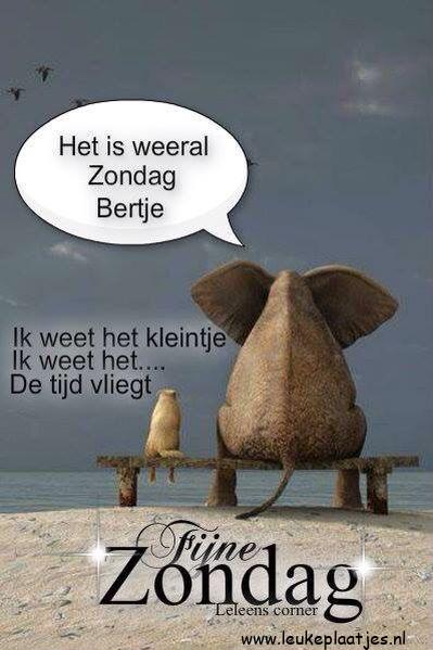 ᐅ goedemorgen zondag humor - goedemorgen zondag humor plaatjes