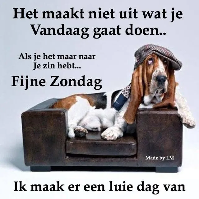 Hond op een bank met tekst over een ontspannen zondag.