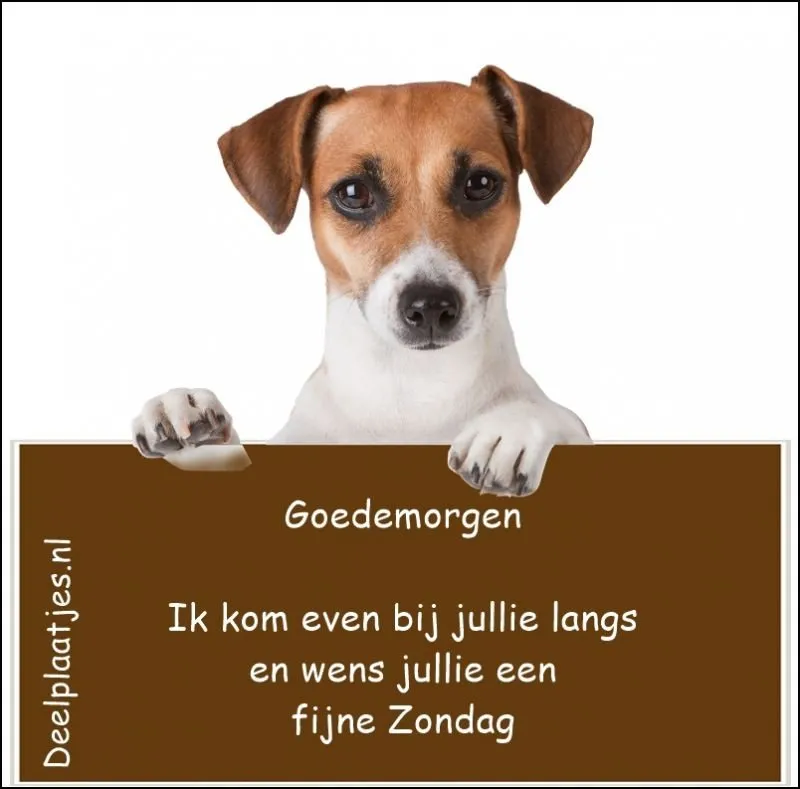 Hond houdt een bord omhoog met de tekst "Goedemorgen, fijne Zondag gewenst."