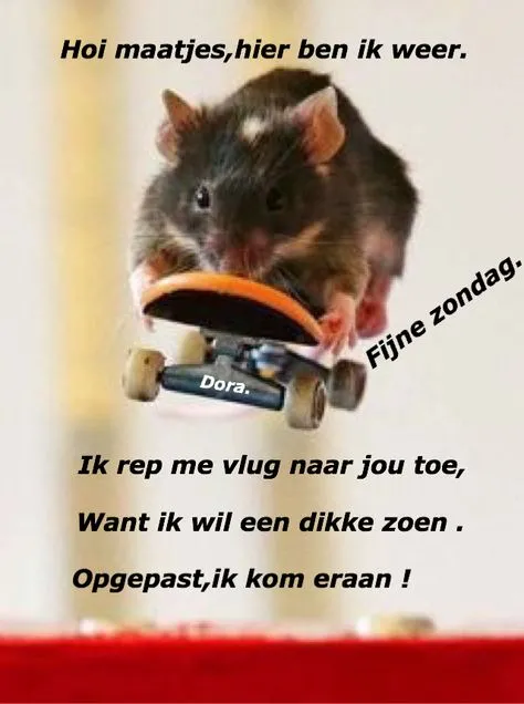 Een hamster op een skateboard met tekst over vriendschap en een groet.