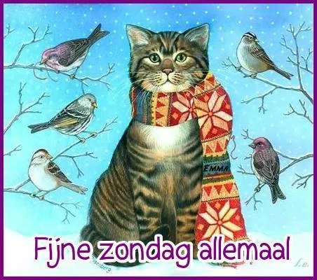 ᐅ goedemorgen zondag sneeuw - Maandag plaatjes