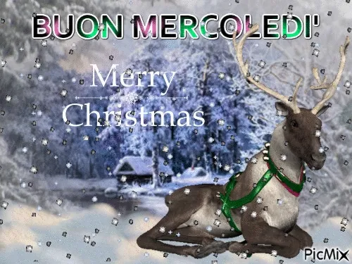 ᐅ goedemorgen zondag sneeuw - Maandag plaatjes