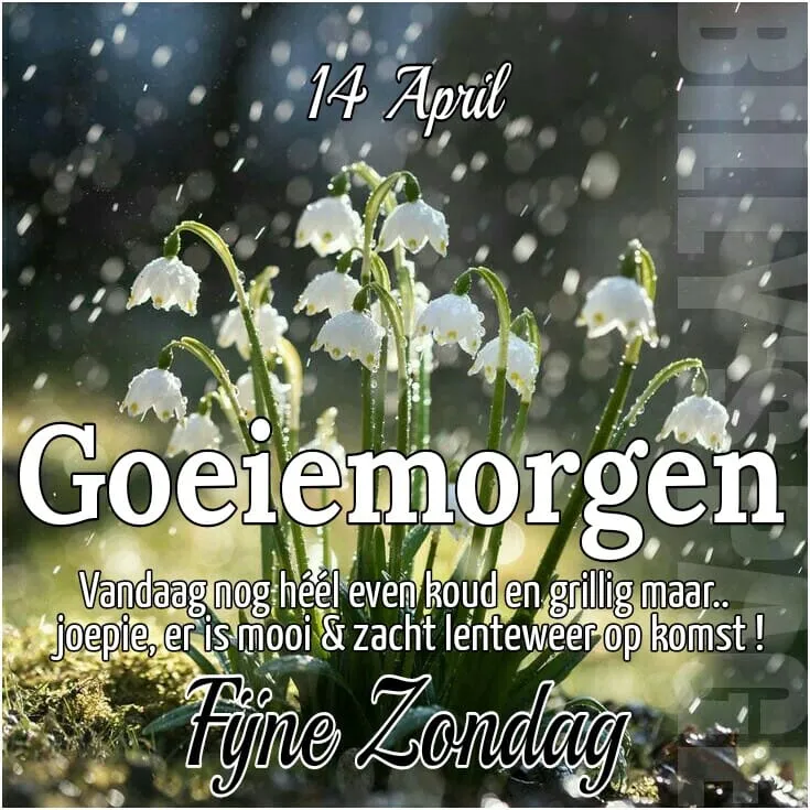 ᐅ goedemorgen zondag sneeuw - Maandag plaatjes
