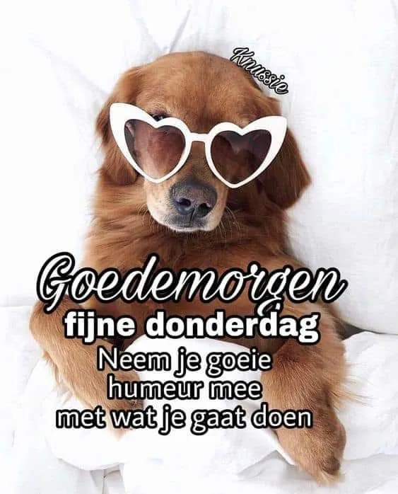 ᐅ goeiemorgen fijne fijne donderdag - Donderdag plaatjes ᐅ goeiemorgen fijne fijne donderdag - Donderdag plaatjes