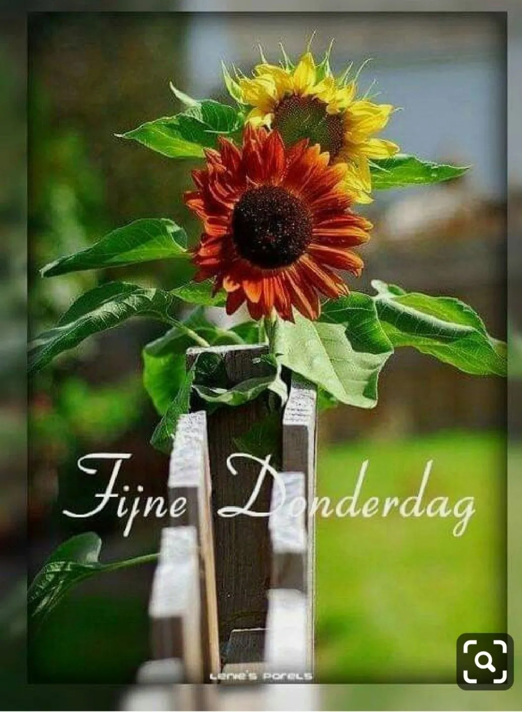 ᐅ goeiemorgen fijne fijne donderdag - Donderdag plaatjes ᐅ goeiemorgen fijne fijne donderdag - Donderdag plaatjes