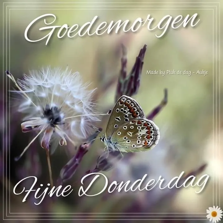 ᐅ goeiemorgen fijne fijne donderdag - Donderdag plaatjes ᐅ goeiemorgen fijne fijne donderdag - Donderdag plaatjes