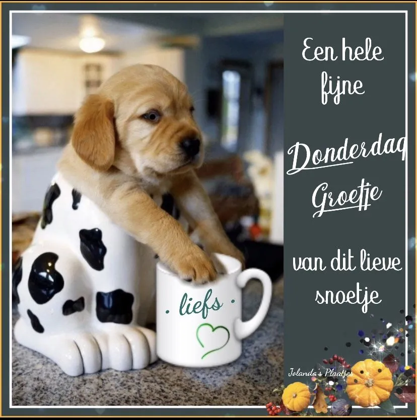 ᐅ goeiemorgen fijne fijne donderdag - Donderdag plaatjes ᐅ goeiemorgen fijne fijne donderdag - Donderdag plaatjes