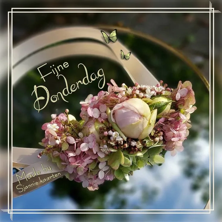 ᐅ goeiemorgen fijne fijne donderdag - Donderdag plaatjes ᐅ goeiemorgen fijne fijne donderdag - Donderdag plaatjes