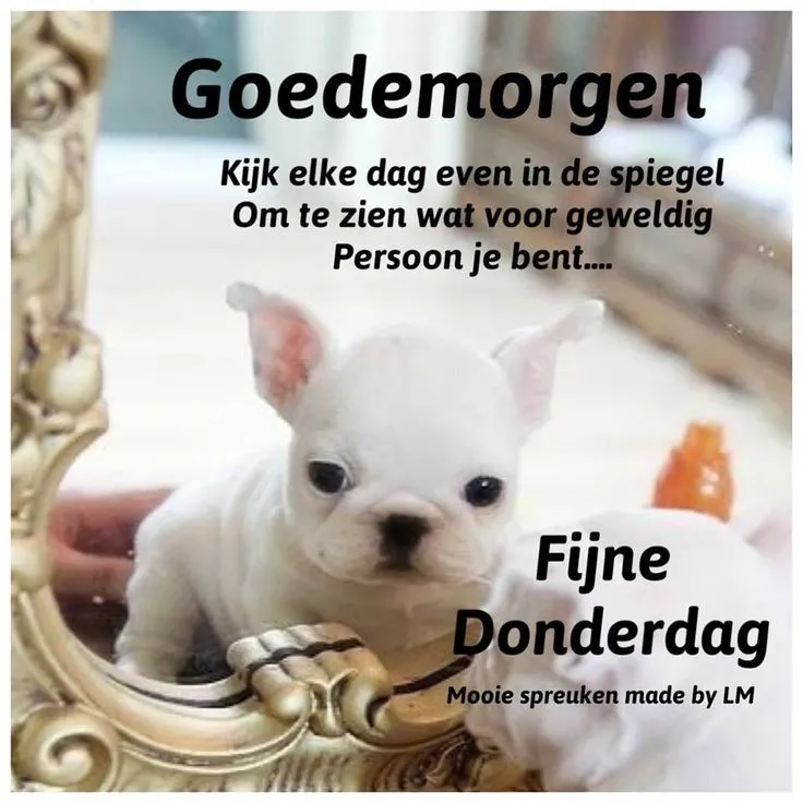 ᐅ goeiemorgen fijne fijne donderdag - Donderdag plaatjes ᐅ goeiemorgen fijne fijne donderdag - Donderdag plaatjes