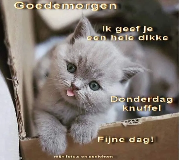 ᐅ goeiemorgen fijne fijne donderdag - Donderdag plaatjes ᐅ goeiemorgen fijne fijne donderdag - Donderdag plaatjes