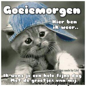grappige goedemorgen