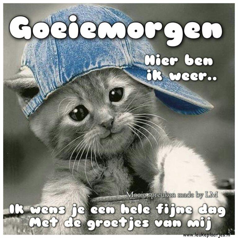 ᐅ grappige goedemorgen - Goedemorgen plaatjes