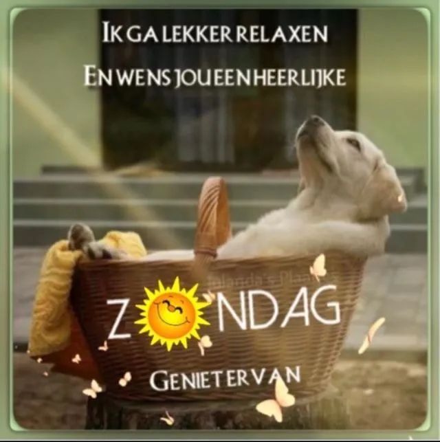 ᐅ grappige goedemorgen - Goedemorgen plaatjes Een hond ligt ontspannen in een mand met de tekst "Zondag, geniet ervan".