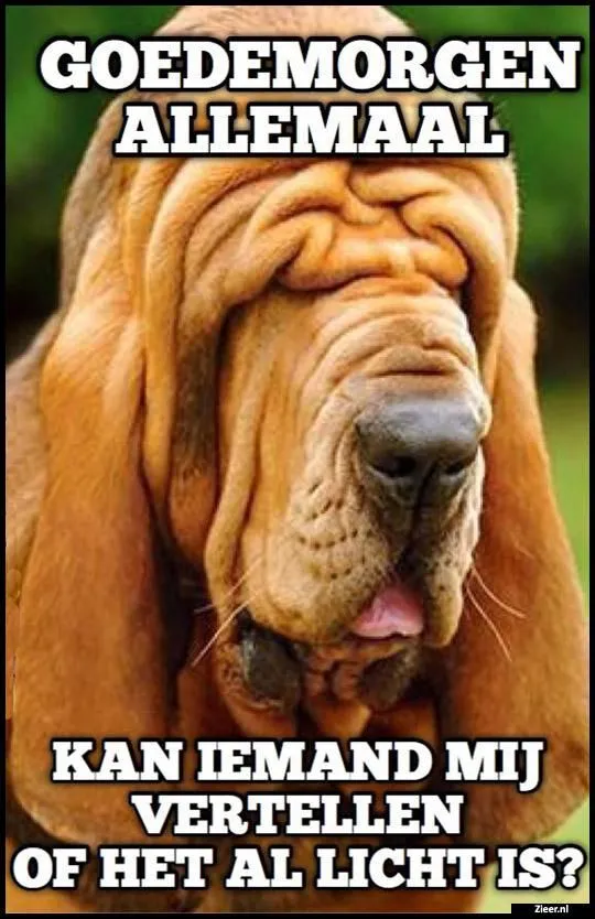 ᐅ grappige goedemorgen - Goedemorgen plaatjes Foto van een hond met rimpels en een tekstballon over de ochtend.