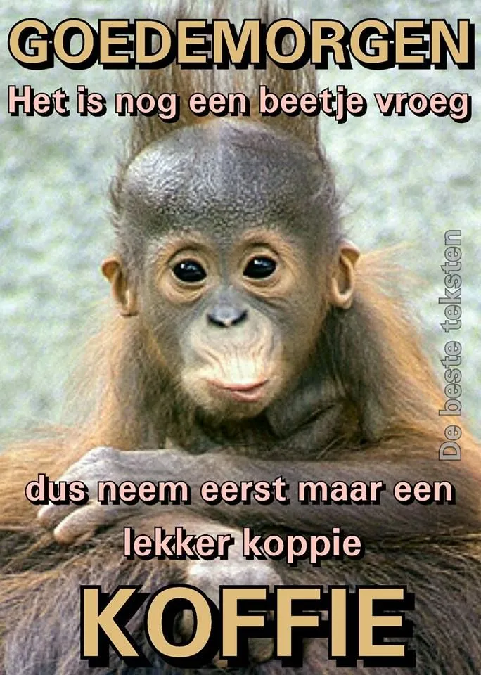 ᐅ grappige goedemorgen - Goedemorgen plaatjes Aap kijkt vriendelijk in de camera met tekst over koffie en een goede morgen.