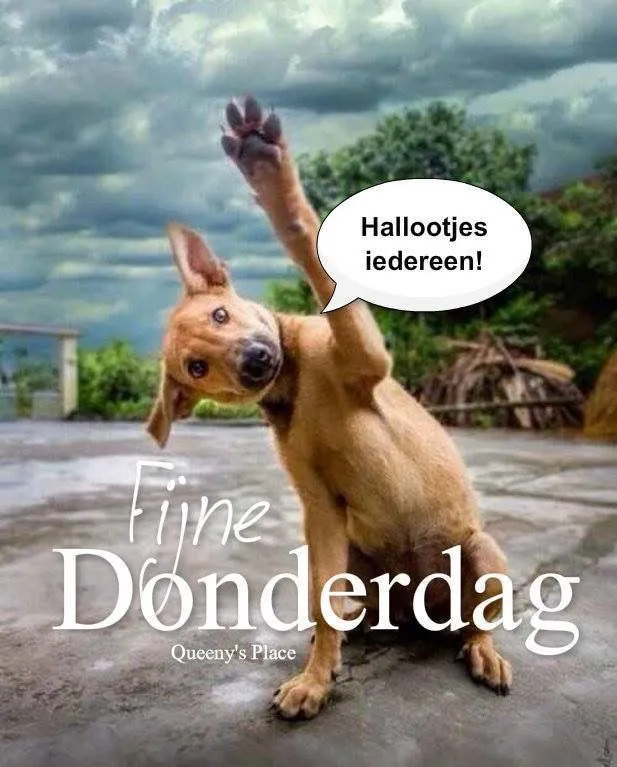 ᐅ grappige goedemorgen - Goedemorgen plaatjes Hond steekt poot op en groet blij met een tekstballon over Donderdag.