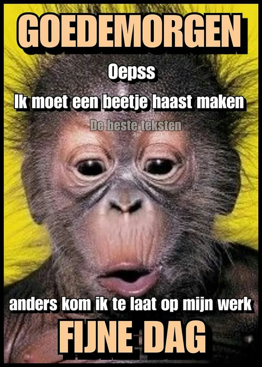 ᐅ grappige goedemorgen - Goedemorgen plaatjes Aapje met tekstballonnen die een grappige boodschap deelt over de ochtend.