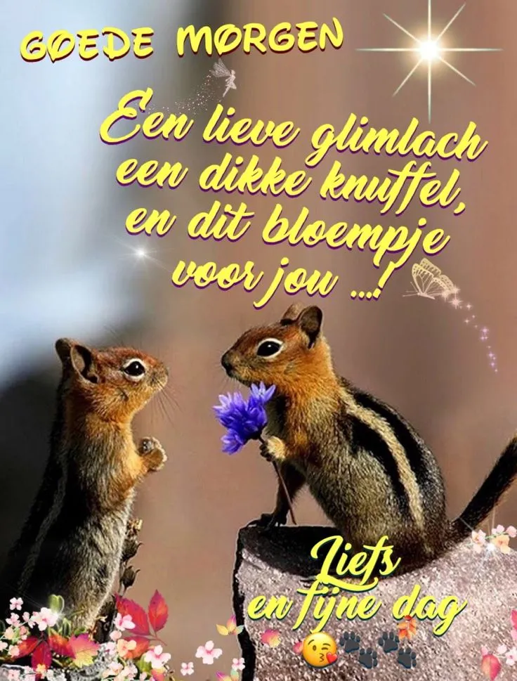 ᐅ grappige goedemorgen - Goedemorgen plaatjes Twee eekhoorns met een bloem, met een vriendelijke boodschap voor de ochtend.