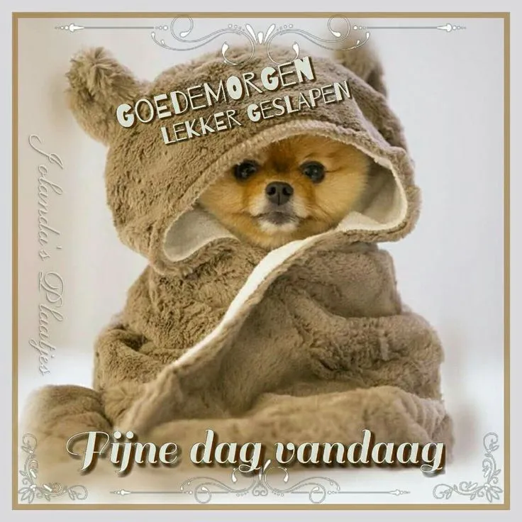 ᐅ grappige goedemorgen - Goedemorgen plaatjes Hond gekleed in een schattige, fluffy overall met oortjes en een warme uitstraling.