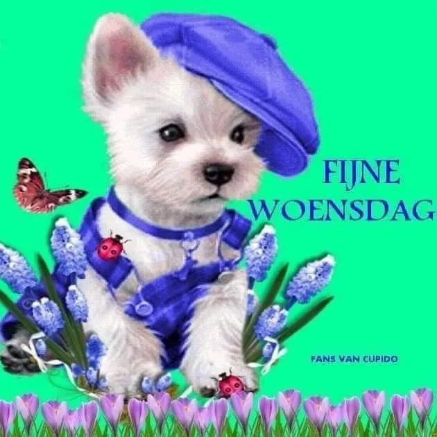 ᐅ grappige goedemorgen - Goedemorgen plaatjes Een schattige puppy in blauwe kleren met bloemen en een vlinder op de achtergrond.