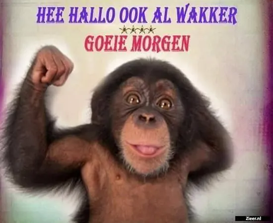 ᐅ grappige goedemorgen - Goedemorgen plaatjes Een opgewekte aap met een grote glimlach en spierballen, begroet de ochtend.