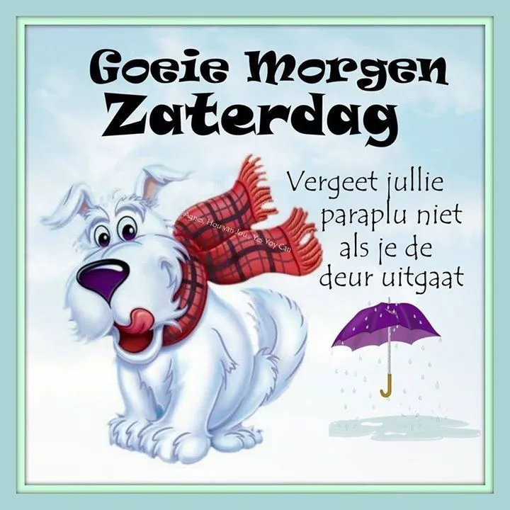 ᐅ grappige goedemorgen - Goedemorgen plaatjes Witte hond met sjaal en tekst over zaterdag en paraplu in kleurige achtergrond.