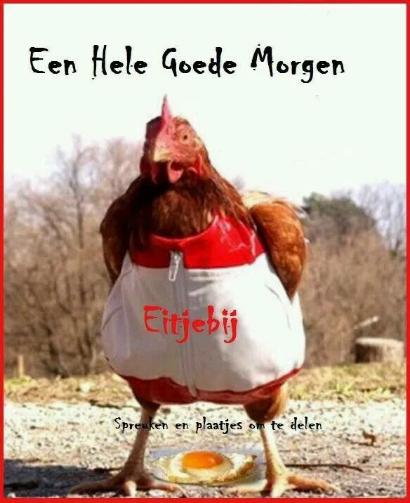 ᐅ grappige goedemorgen - Goedemorgen plaatjes Een kip in een vest met de tekst "Een Hele Goede Morgen" op de achtergrond.
