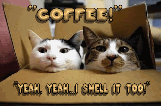 ᐅ grappige koffie afbeeldingen - Koffie Plaatjes en Gifs plaatjes