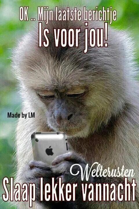 ᐅ grappige welterusten teksten - Welterusten plaatjes Aap kijkt naar een aap die op een smartphone kijkt met tekst over slapen.