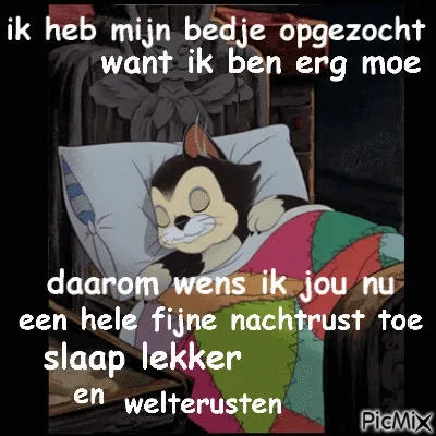 ᐅ grappige welterusten teksten - Welterusten plaatjes Een slapend katje op bed met een wens voor een goede nachtrust.