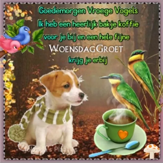 Hondje met een kopje koffie, decoratieve vogels, en de tekst 'Woensdaggroet'.