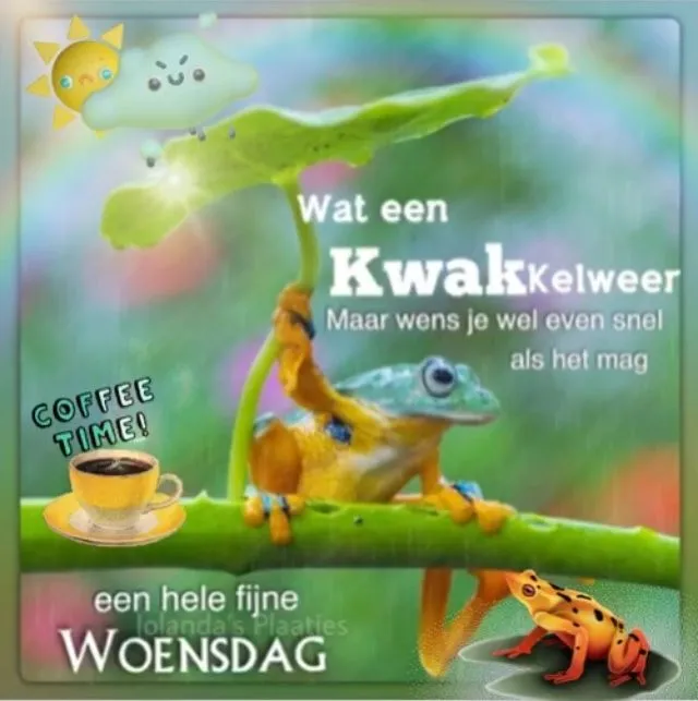 Kikker onder een blad met tekst over het weer en een koffie illustratie.