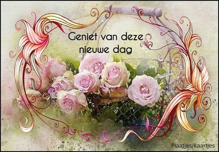 Een mand met rozen en de tekst "Geniet van deze nieuwe dag."