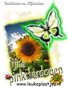 gratis afbeeldingen voor whatsapp