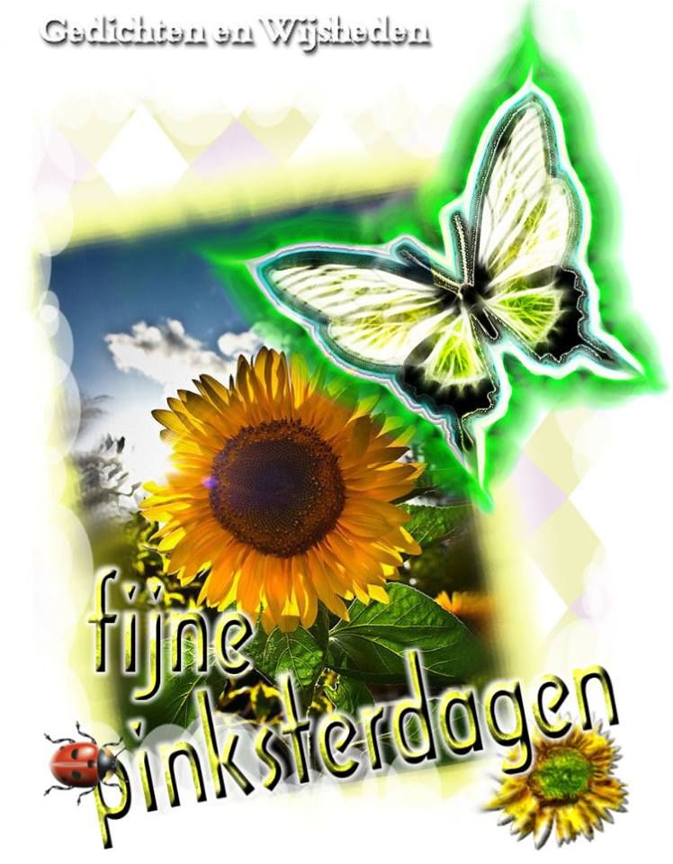 ᐅ gratis afbeeldingen voor whatsapp - Dinsdag plaatjes