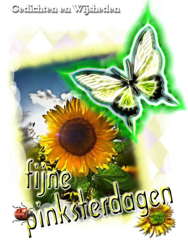 ᐅ gratis afbeeldingen voor whatsapp - Dinsdag plaatjes