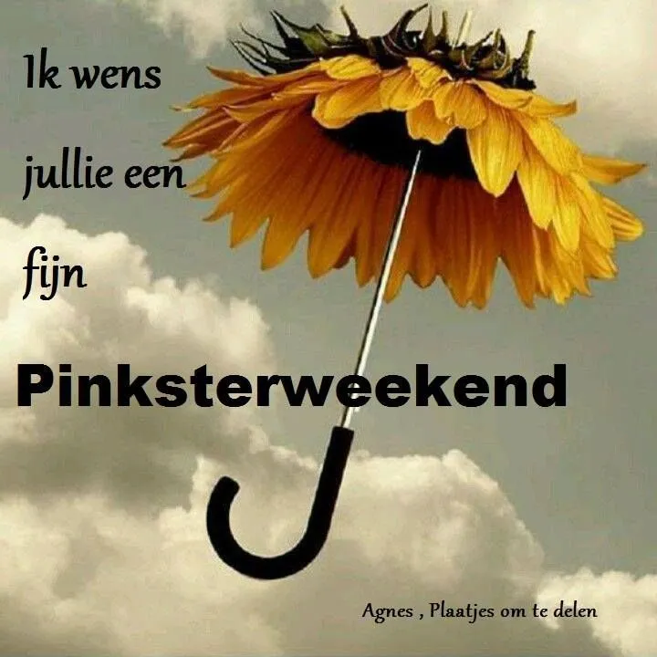 ᐅ gratis afbeeldingen voor whatsapp - Dinsdag plaatjes