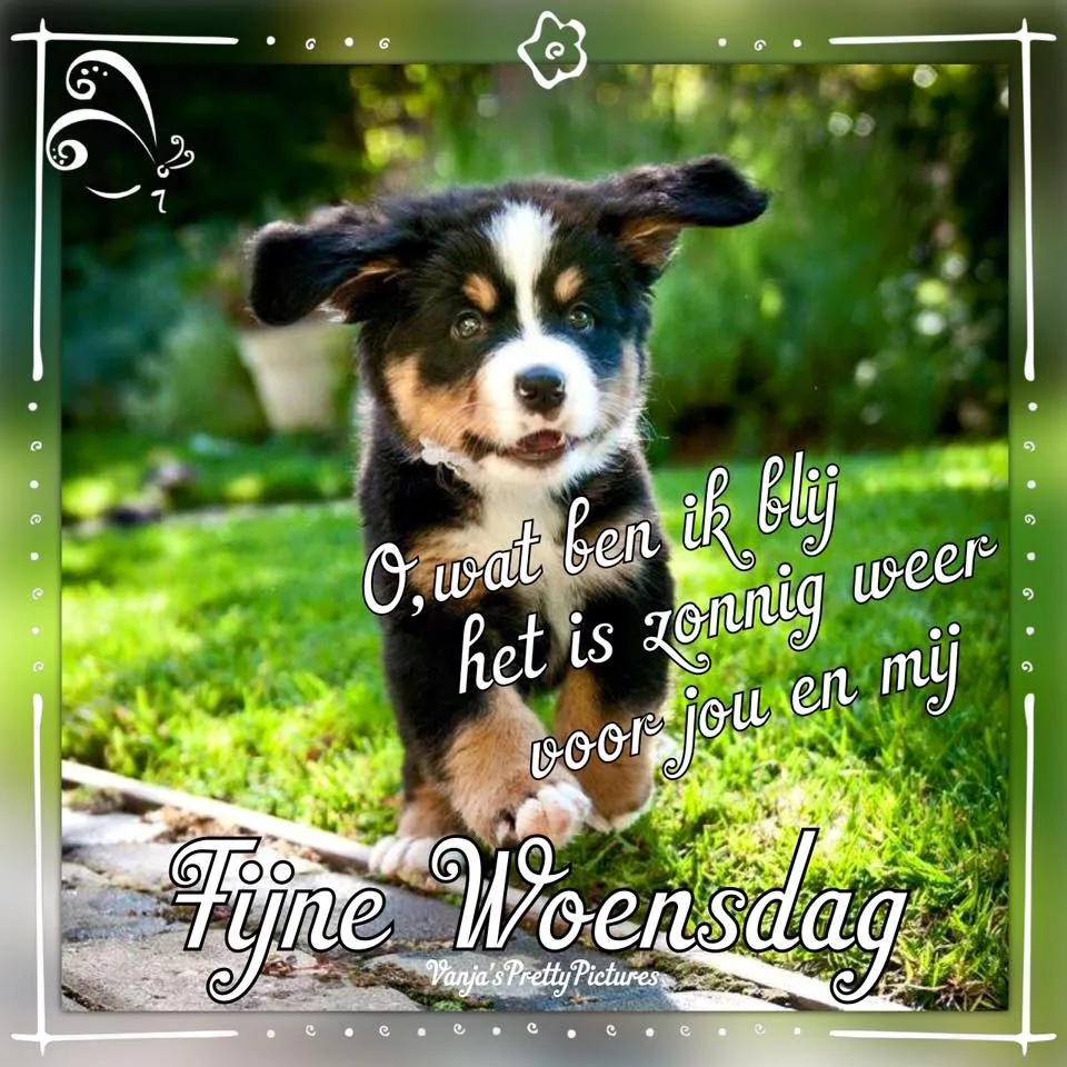 ᐅ gratis afbeeldingen voor whatsapp - Dinsdag plaatjes