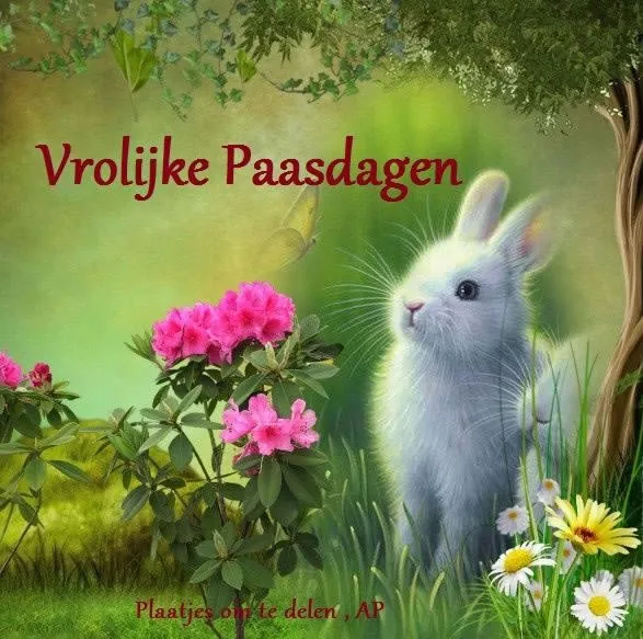 ᐅ gratis afbeeldingen voor whatsapp - Dinsdag plaatjes