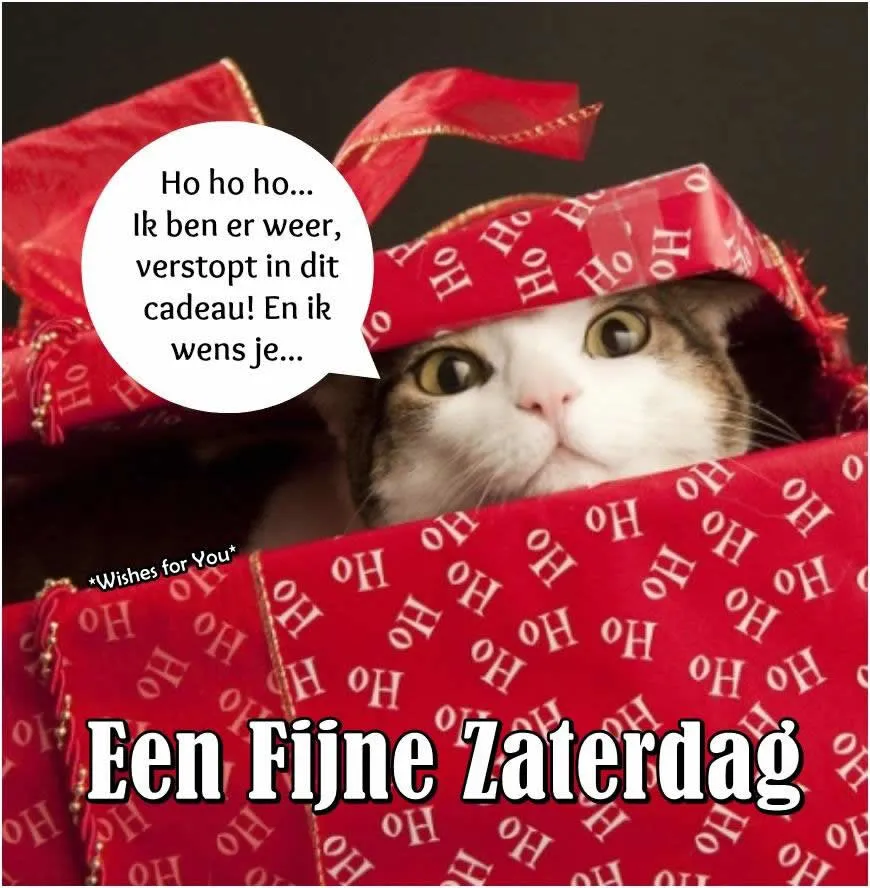 ᐅ gratis afbeeldingen voor whatsapp - Dinsdag plaatjes