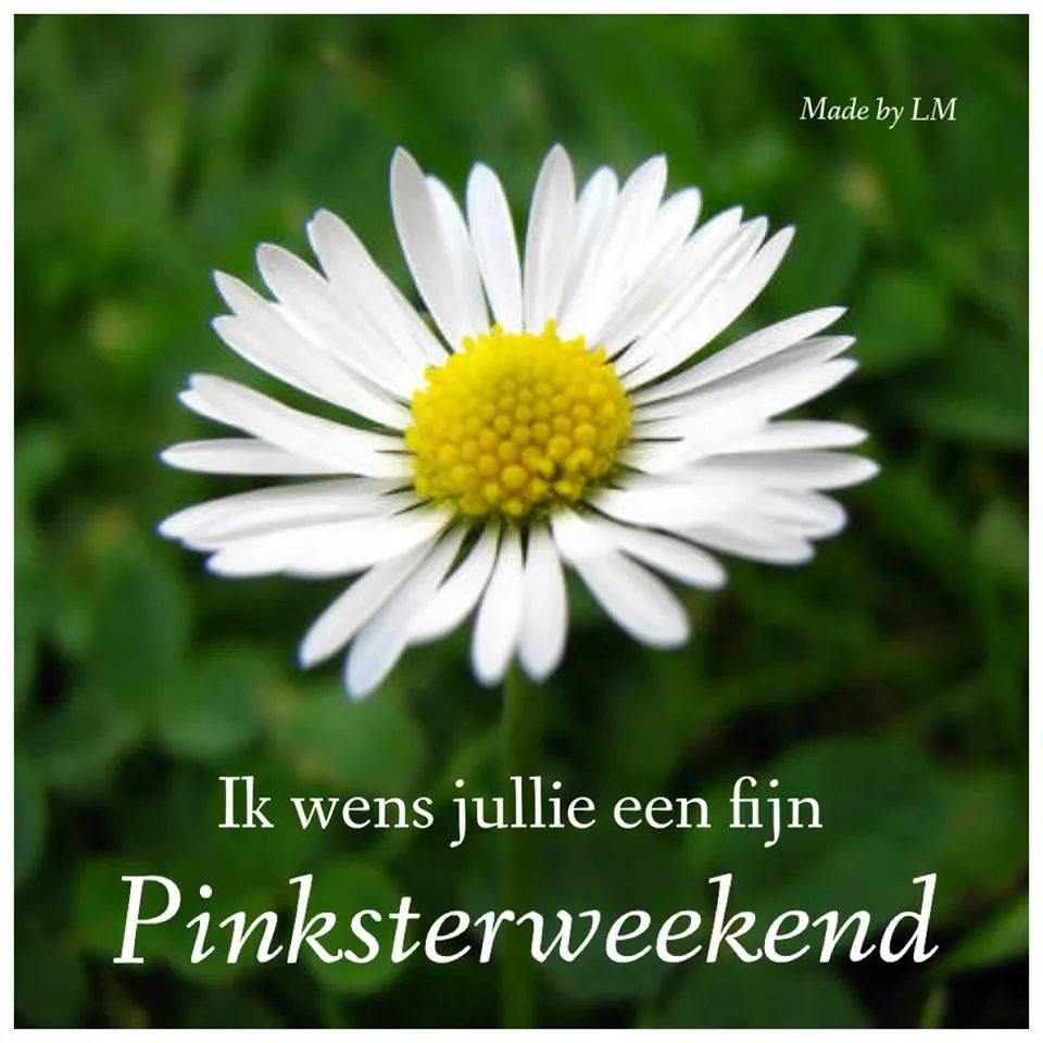 ᐅ gratis afbeeldingen voor whatsapp - Dinsdag plaatjes