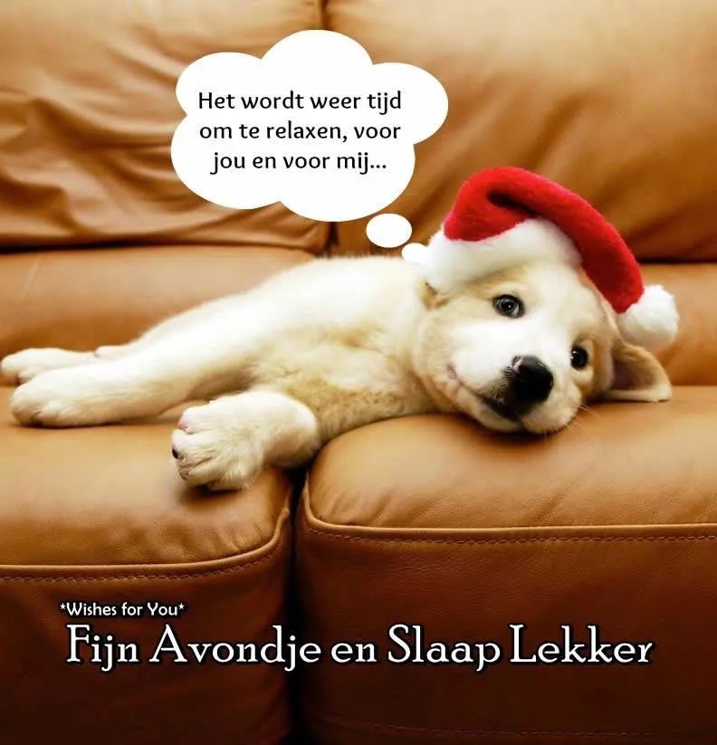 ᐅ gratis afbeeldingen voor whatsapp - Dinsdag plaatjes