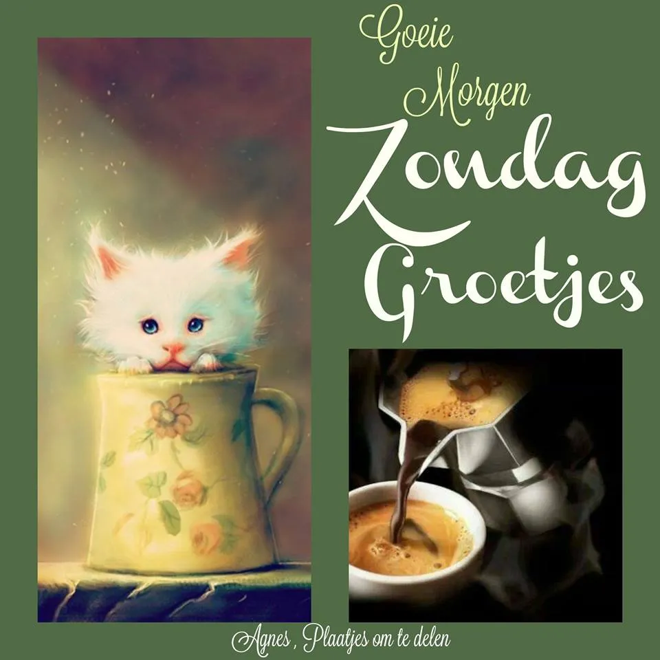 ᐅ gratis afbeeldingen voor whatsapp - Dinsdag plaatjes