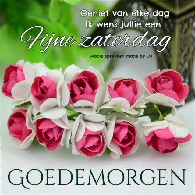 ᐅ gratis afbeeldingen voor whatsapp - Dinsdag plaatjes